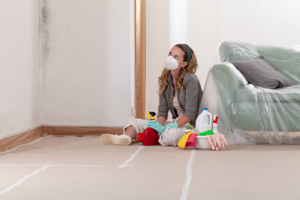 Reliable Mold Testing contractor in Douglas, MI by WQB Mold Removal